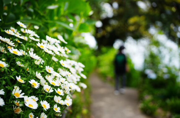 at NAGASAKI by α7c2 & T35_100F2.8