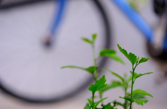 at YU  SANPO by X-T5 & XF33F1.4