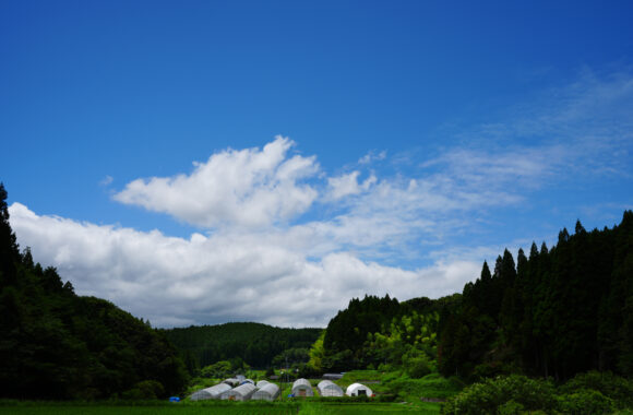 at SAGA by α7R6 & T35_100F2.8