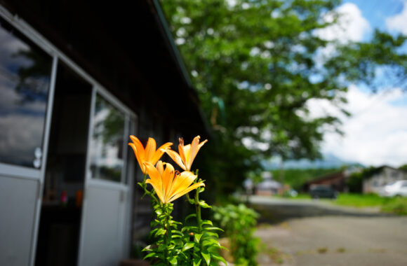 at ASO by α7R6 & A28_45F1.8DN