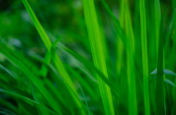 at SAGA by X-T5 & XF33F1.4