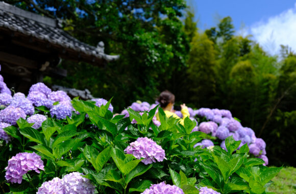 at ITOSHIMA by GFX50s2 & GF35_70F4.5