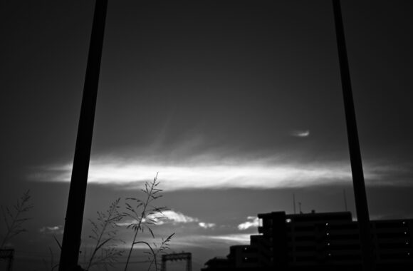 at SANPO by Zf & Z40F2.0