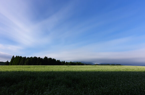 at NAMINO YAME by α7R6 & FE16_35F2.8GM