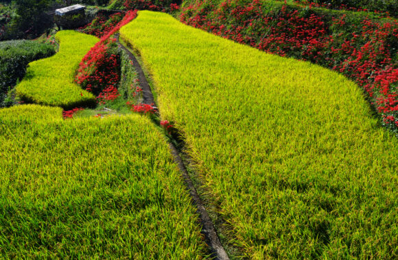 at KUROKI by α7R6 & FE16_35F2.8GM