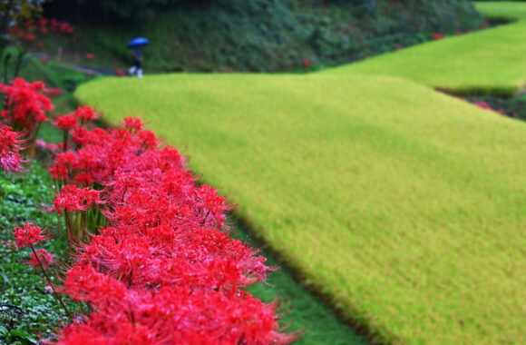 at OITA by Z72 & Z24_120F4.0