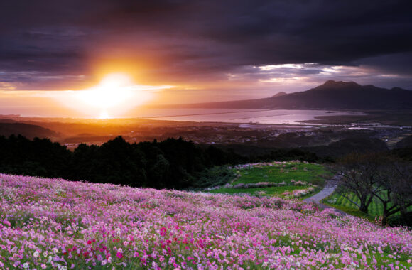 at NAGASAKI by GFX100S2 & GF45_100F4.0