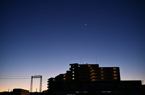 at SANPO by Zf & Z40F2.0