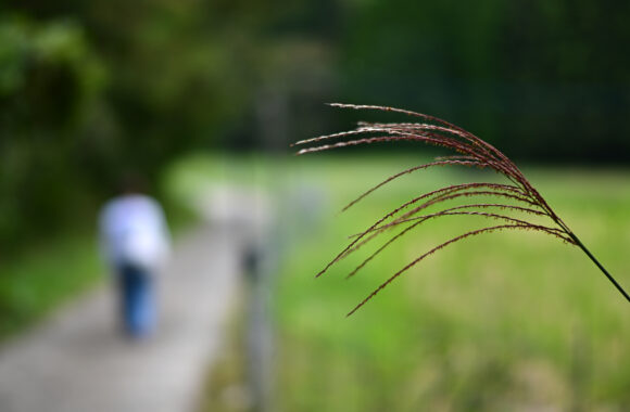 at SAGA by Z72 & AF-S58F1.4G