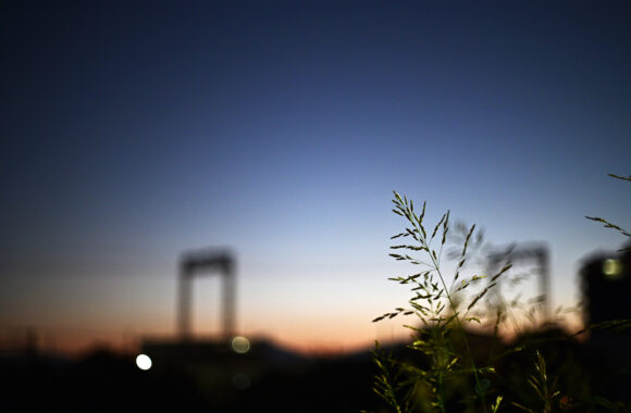 at HANPO by Zf & NIKKOR-H.C AUTO 50F2
