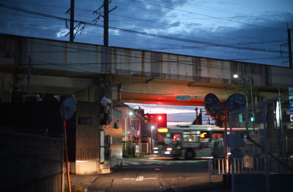 at IPPO by Zf & smc PENTAX-M 50F1.4